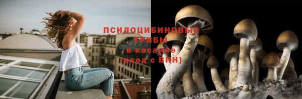 мяу мяу кристалл Гусиноозёрск