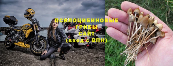 мяу мяу кристалл Гусиноозёрск