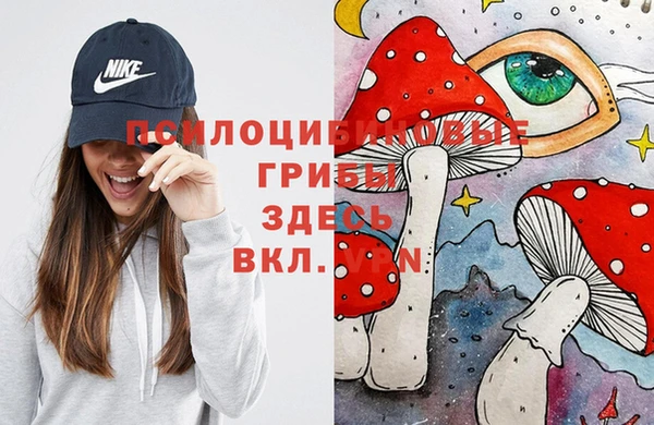 кристаллы Гусь-Хрустальный