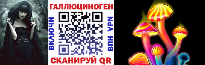 купить наркотик Миасс Псилоцибиновые грибы Psilocybe