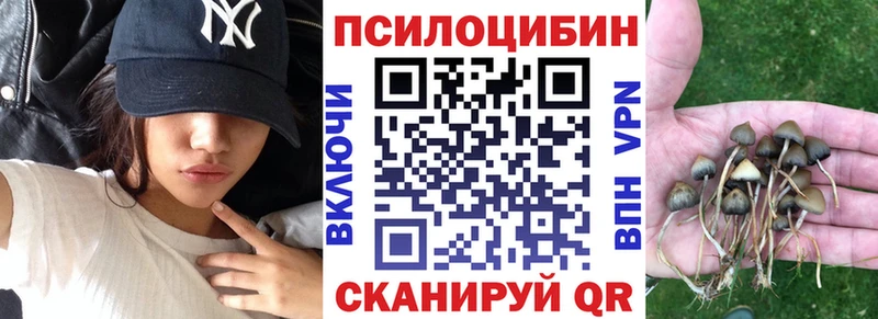 Галлюциногенные грибы Psilocybe Миасс